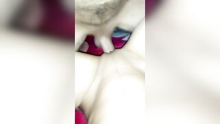 Cum on my Wife Belly