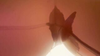 First Morning Piss In Leggings